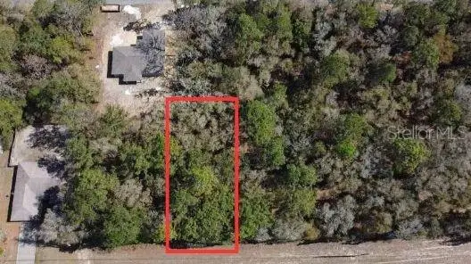 9381 N Country Club Way, Citrus Springs, FL 34434 - #3