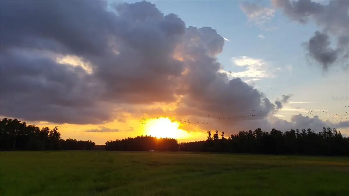 0 Moore Road, Lakeland, FL 33809 - Image #1