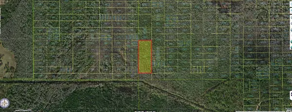 Holopaw Groves Road, ST CLOUD, FL 34772