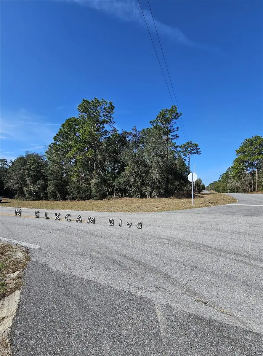 2914 W Naegelia Place, Citrus Springs, FL 34434 - #1