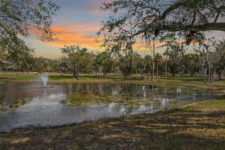 503 Cemetery Road, Geneva, FL 32732 - Image #2