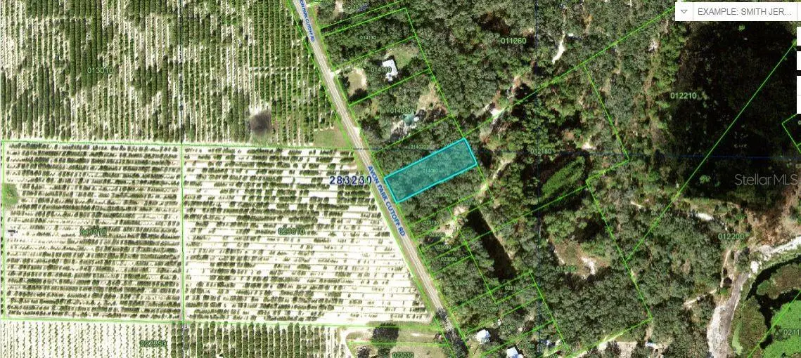 Avon Park Cutoff Road, Frostproof, FL 33843 - Image #1