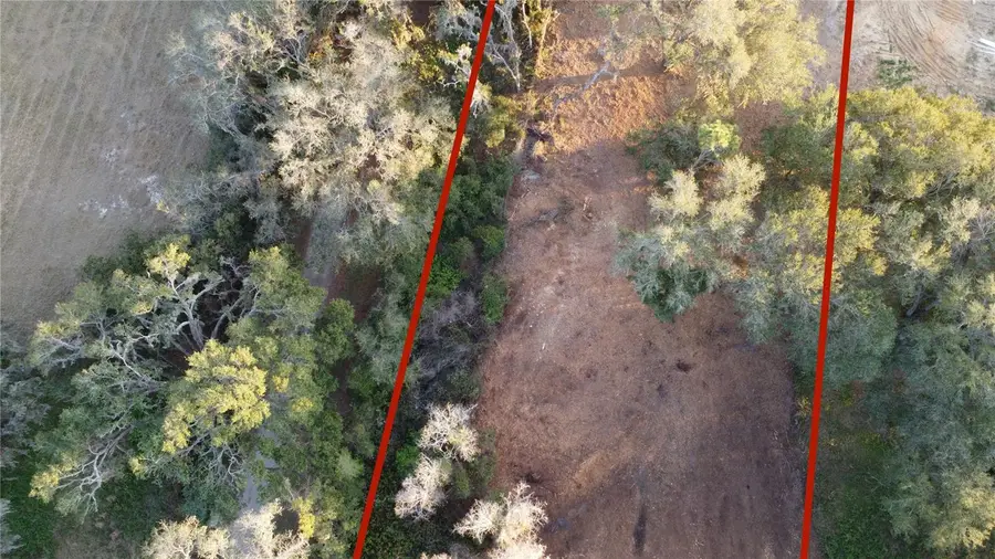 Florida Boys Ranch Road, Groveland, FL 34736 - Image #3