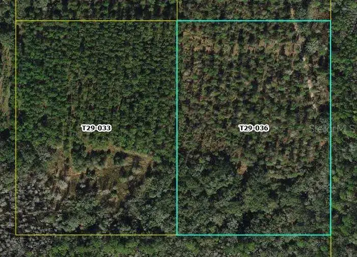 Cr 772b, Webster, FL 33597 - Image #3