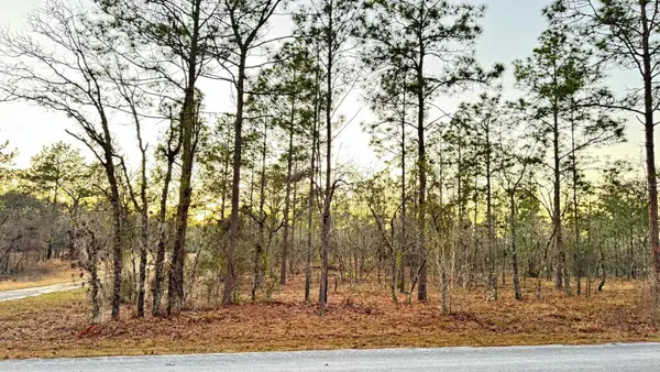 00 SE 130th, DUNNELLON, FL 34431