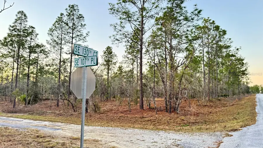 00 SE 130th, Dunnellon, FL 34431 - Image #2