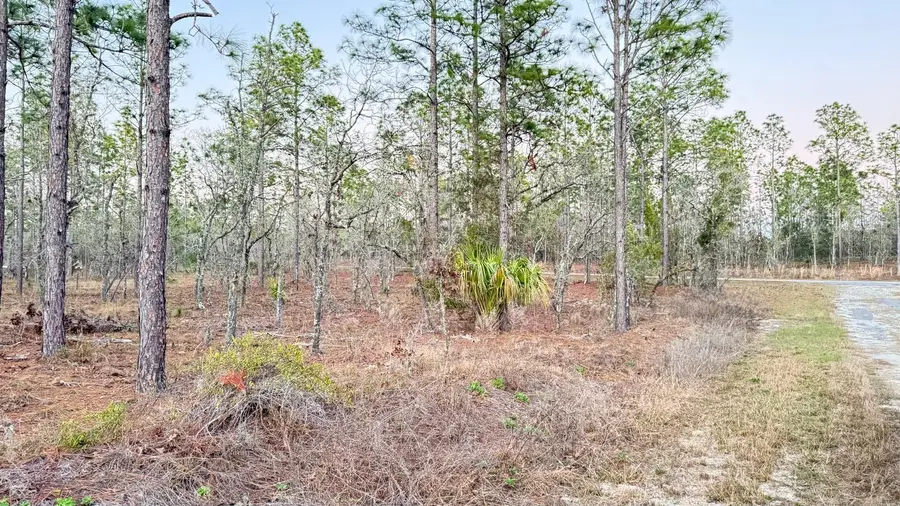 00 SE 130th, Dunnellon, FL 34431 - Image #3