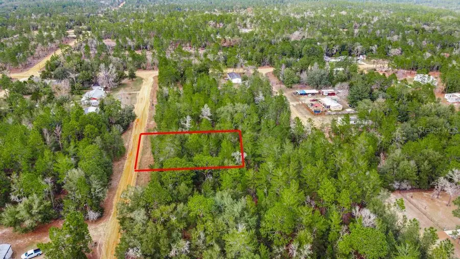 118 Cardinal Street, Interlachen, FL 32148 - Image #2