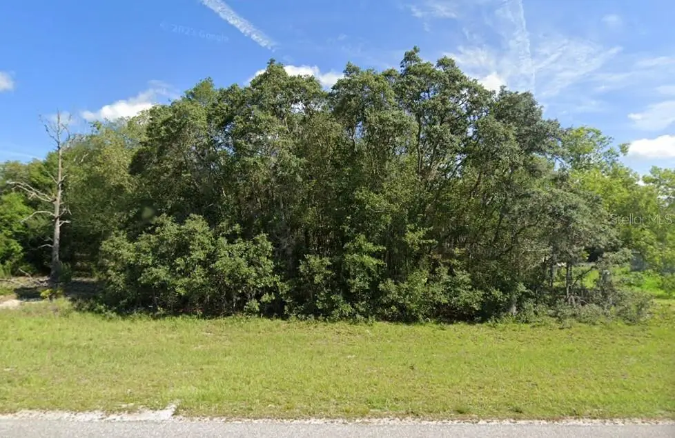 00 Malauka Rd #40, Ocklawaha, FL 32179 - Image #1