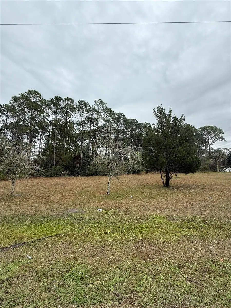 245 Ullian Trail, Palm Coast, FL 32164 - Image #1
