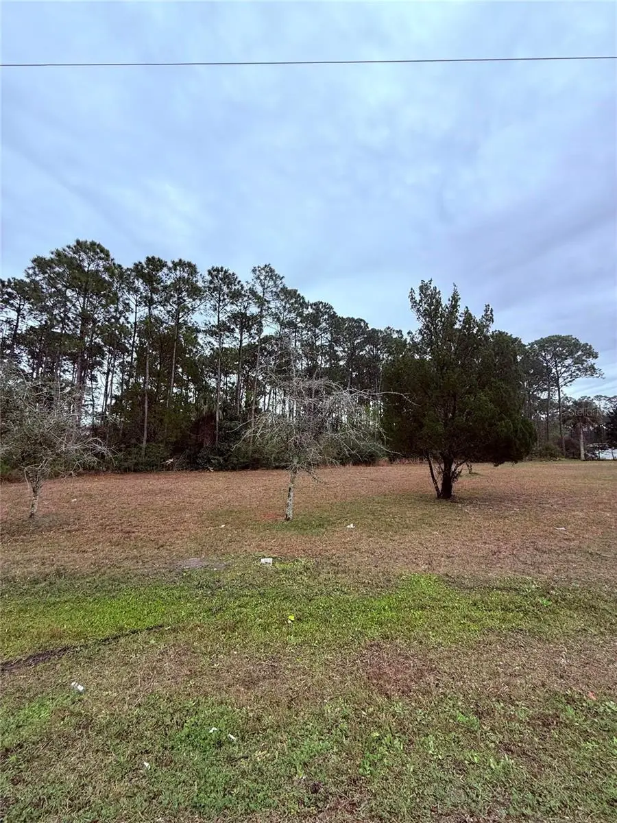 245 Ullian Trail, Palm Coast, FL 32164 - Image #2