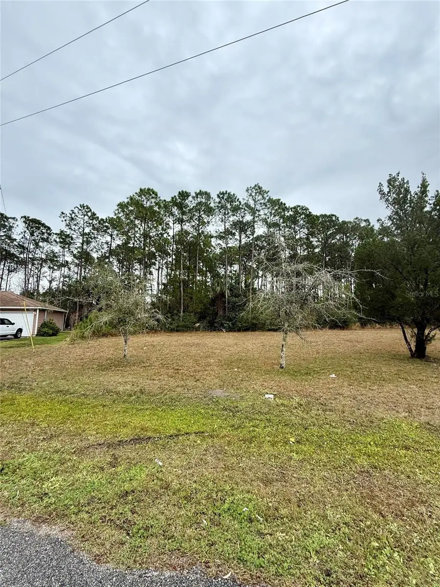 245 Ullian Trail, Palm Coast, FL 32164 - Image #3