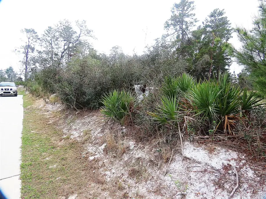 71 Orchid Court, Poinciana, FL 34759 - Image #2