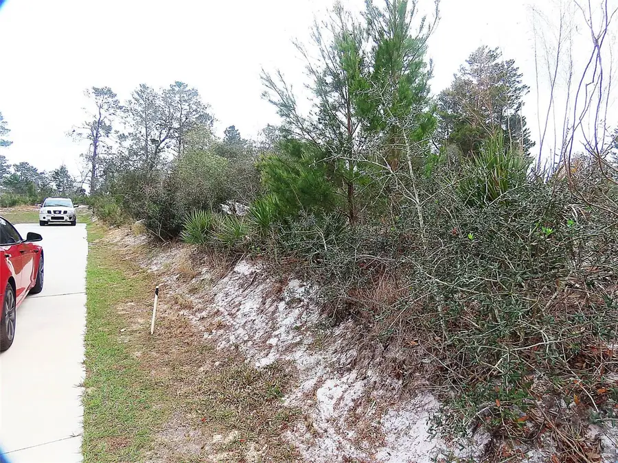 71 Orchid Court, Poinciana, FL 34759 - Image #3