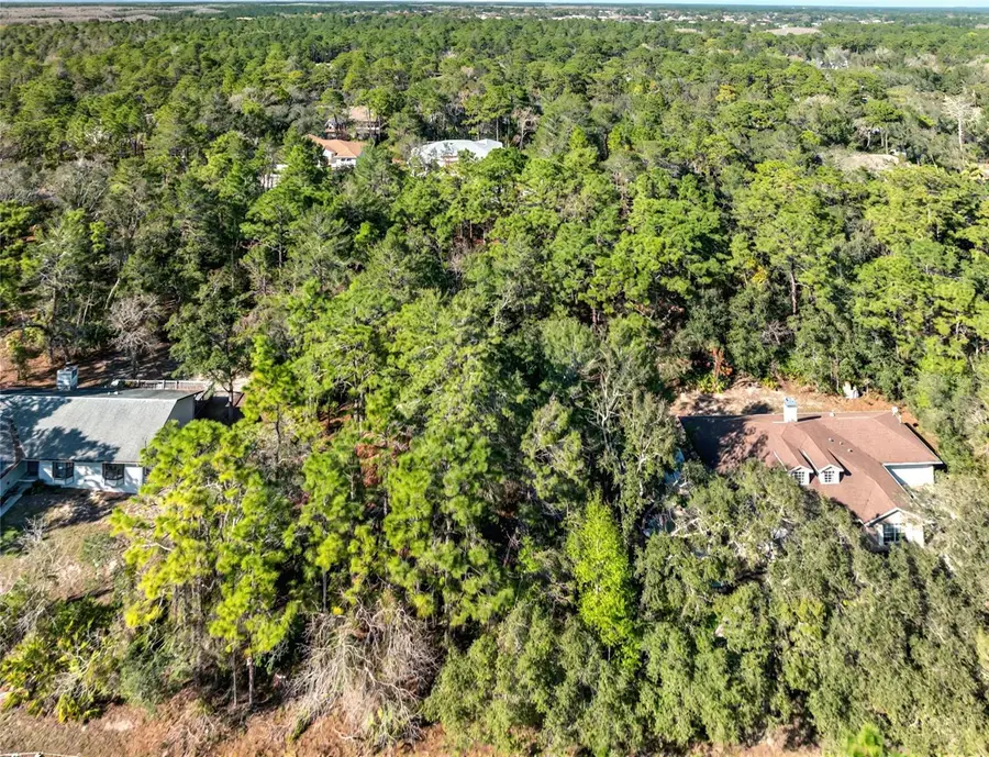 9003 Glenarm Way, Weeki Wachee, FL 34613 - Image #3