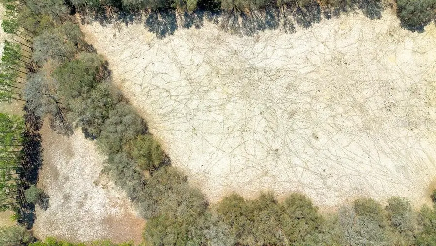 4649 Meadowland Drive, Mount Dora, FL 32757 - #2