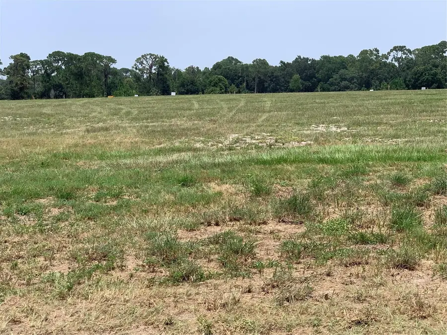 3448 Lake Diane Road, Tavares, FL 32778 - Image #2