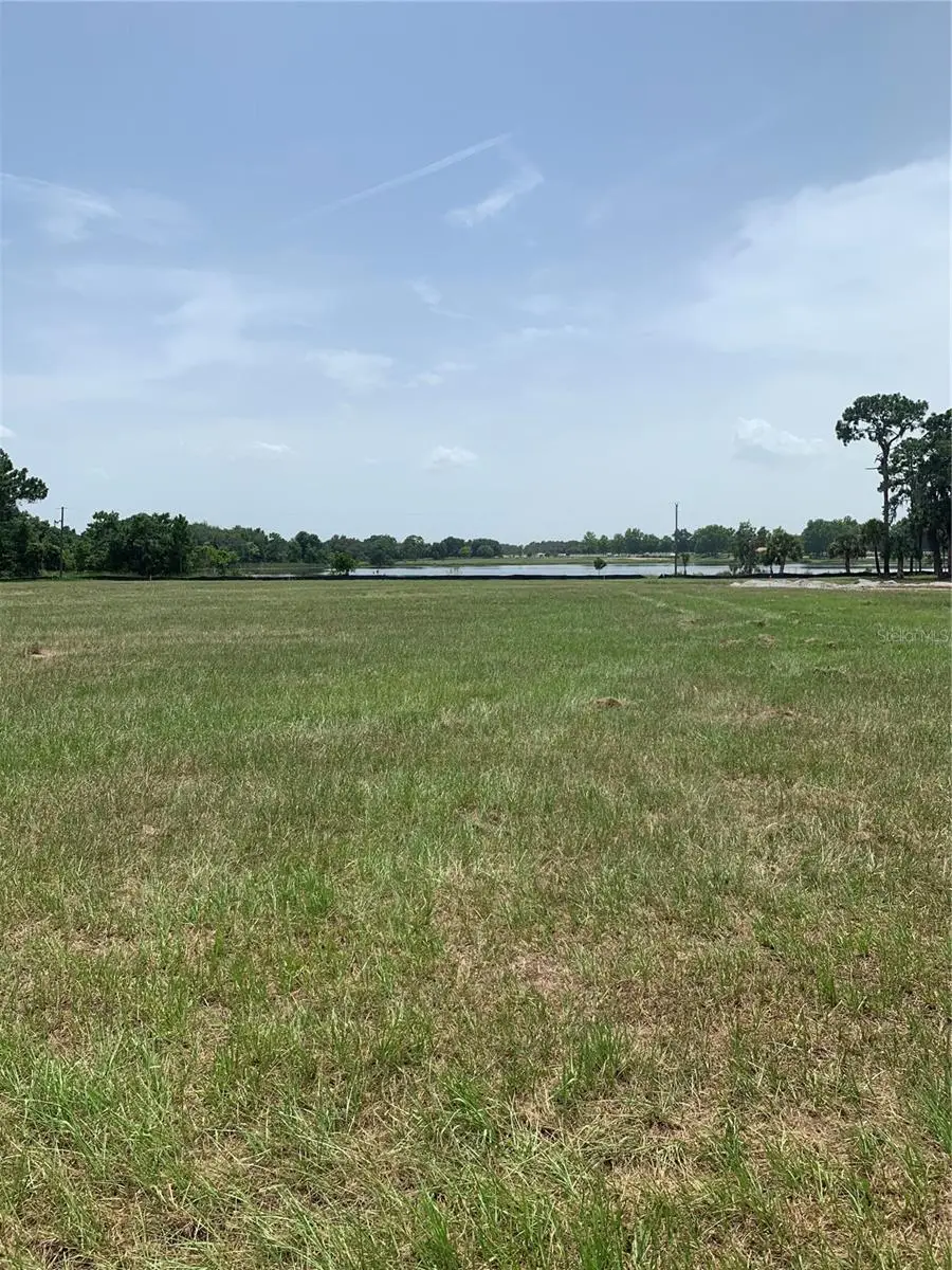 3448 Lake Diane Road, Tavares, FL 32778 - Image #3