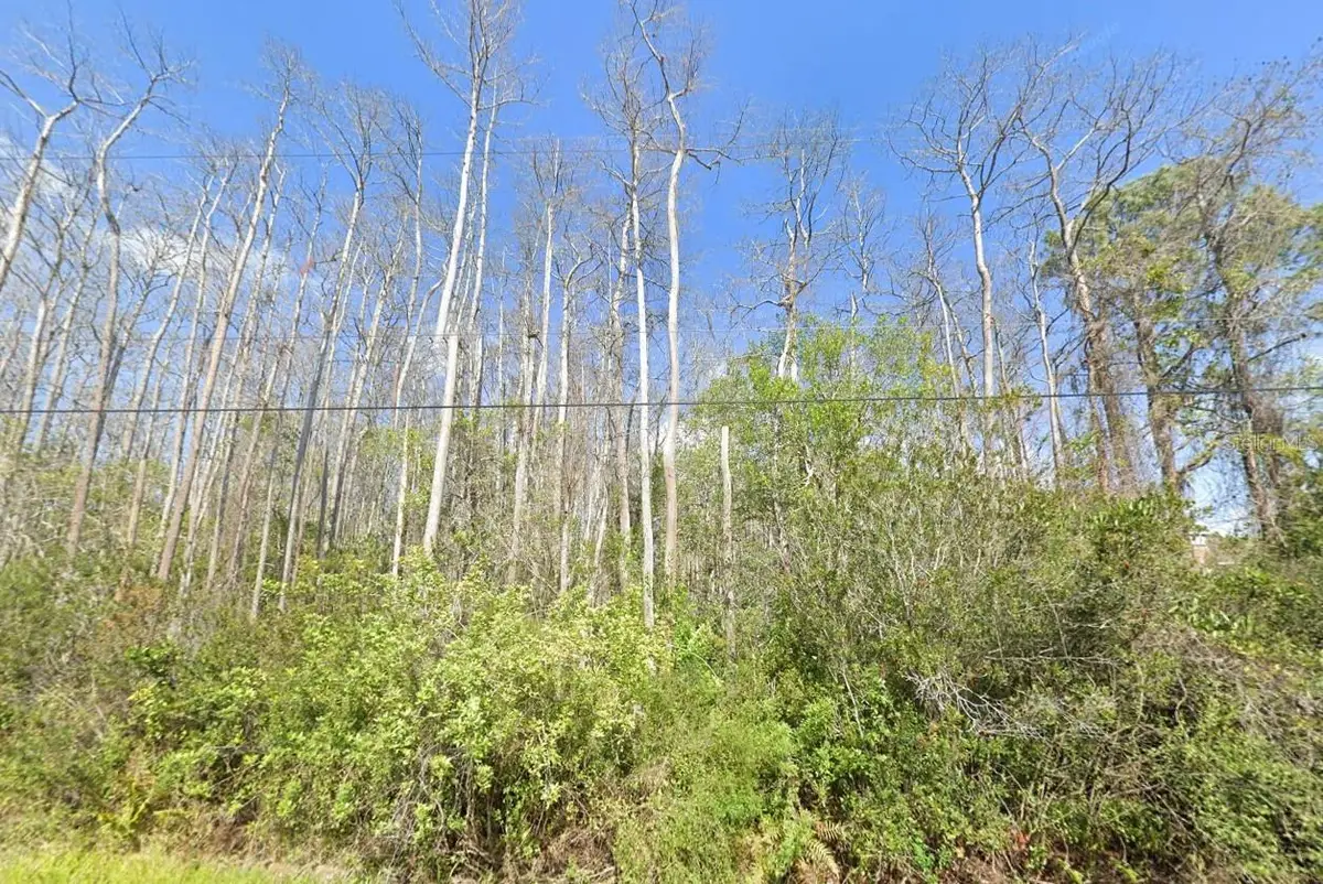 Mardi Gras Street, Orlando, FL 32833 - Image #1