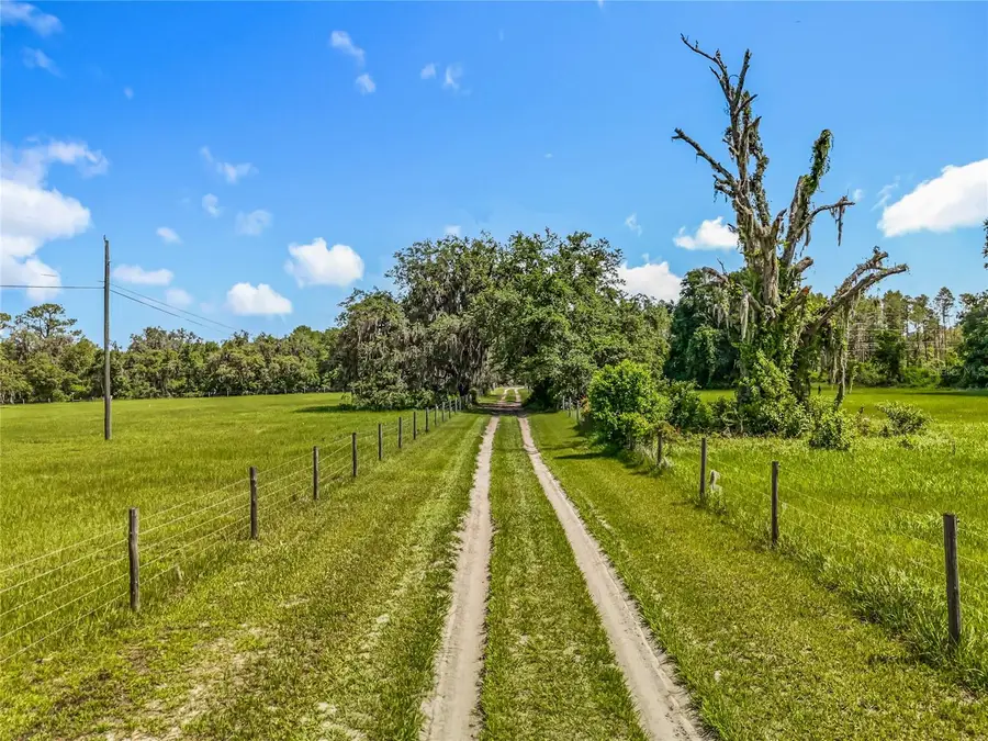 41204 Emeralda Island Road, Leesburg, FL 34788 - Image #3