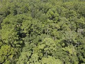 Salyers Road, Clermont, FL 34714 - Image #1