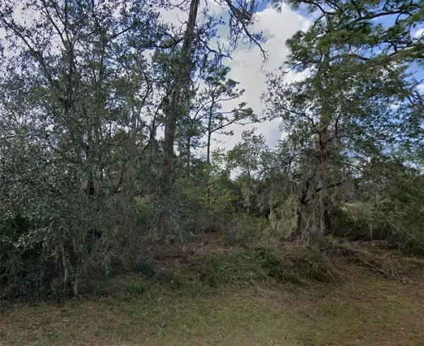 1335 St Augustine Court, POINCIANA, FL 34759