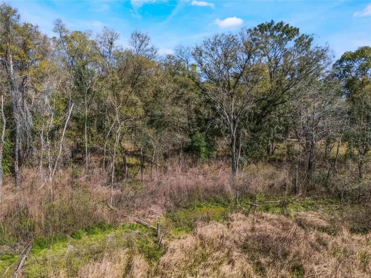 2208 Eisenhower Street, Inverness, FL 34453 - Image #1