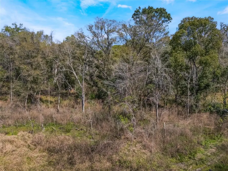 2208 Eisenhower Street, Inverness, FL 34453 - Image #3