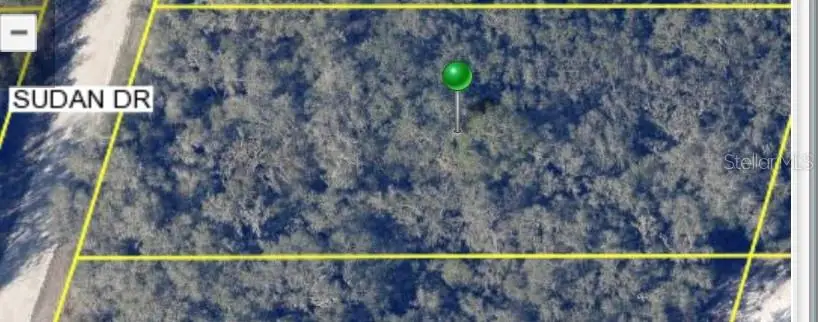 Sudan Drive, Webster, FL 33597 - Image #1