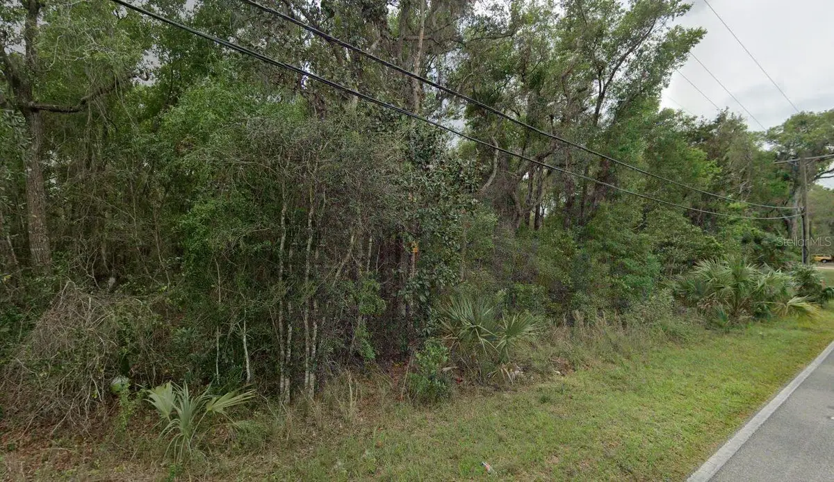 Reynolds Road, De Leon Springs, FL 32130 - Image #1