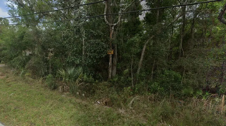 Reynolds Road, De Leon Springs, FL 32130 - Image #2