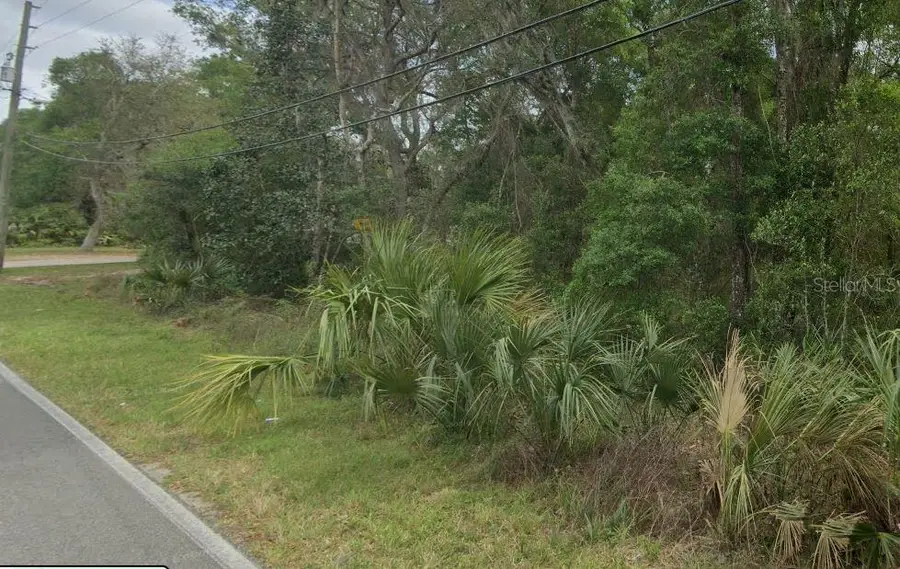 Reynolds Road, De Leon Springs, FL 32130 - Image #3