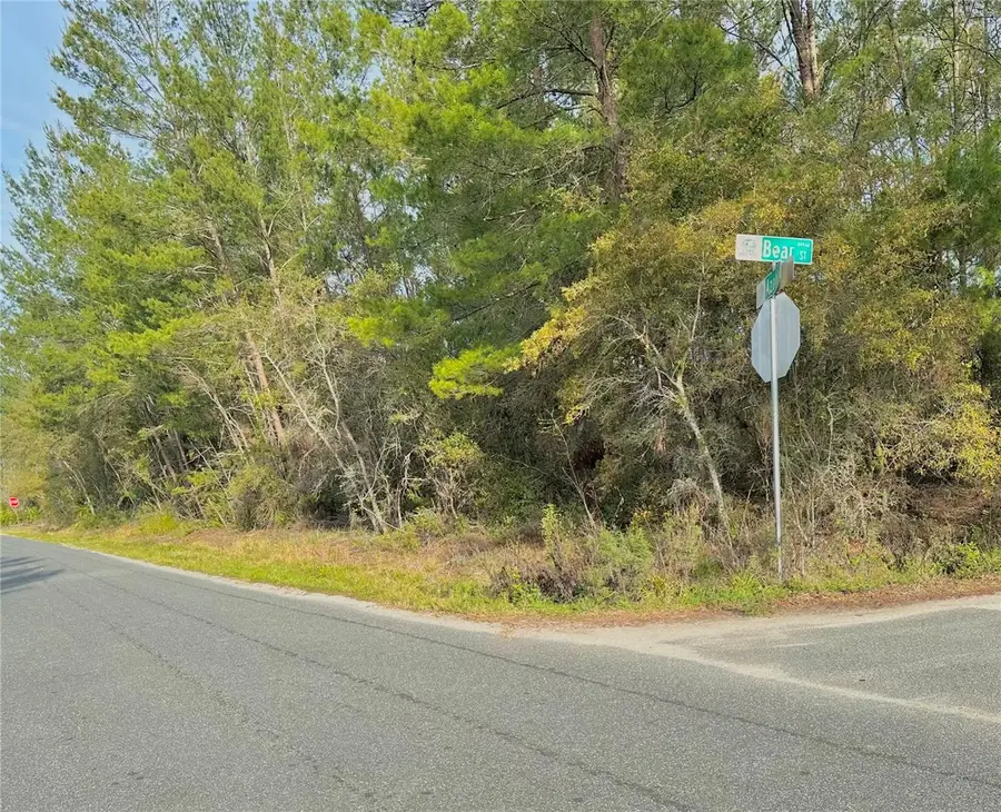 Azalea Avenue, Paisley, FL 32767 - Image #2