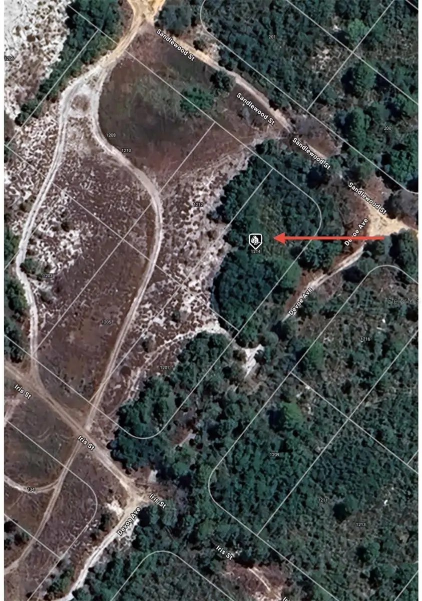 1214 Sandlewood Street, Lake Placid, FL 33852 - Image #1