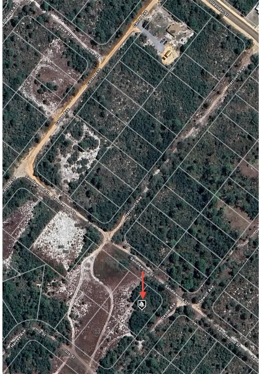 1214 Sandlewood Street, Lake Placid, FL 33852 - Image #3