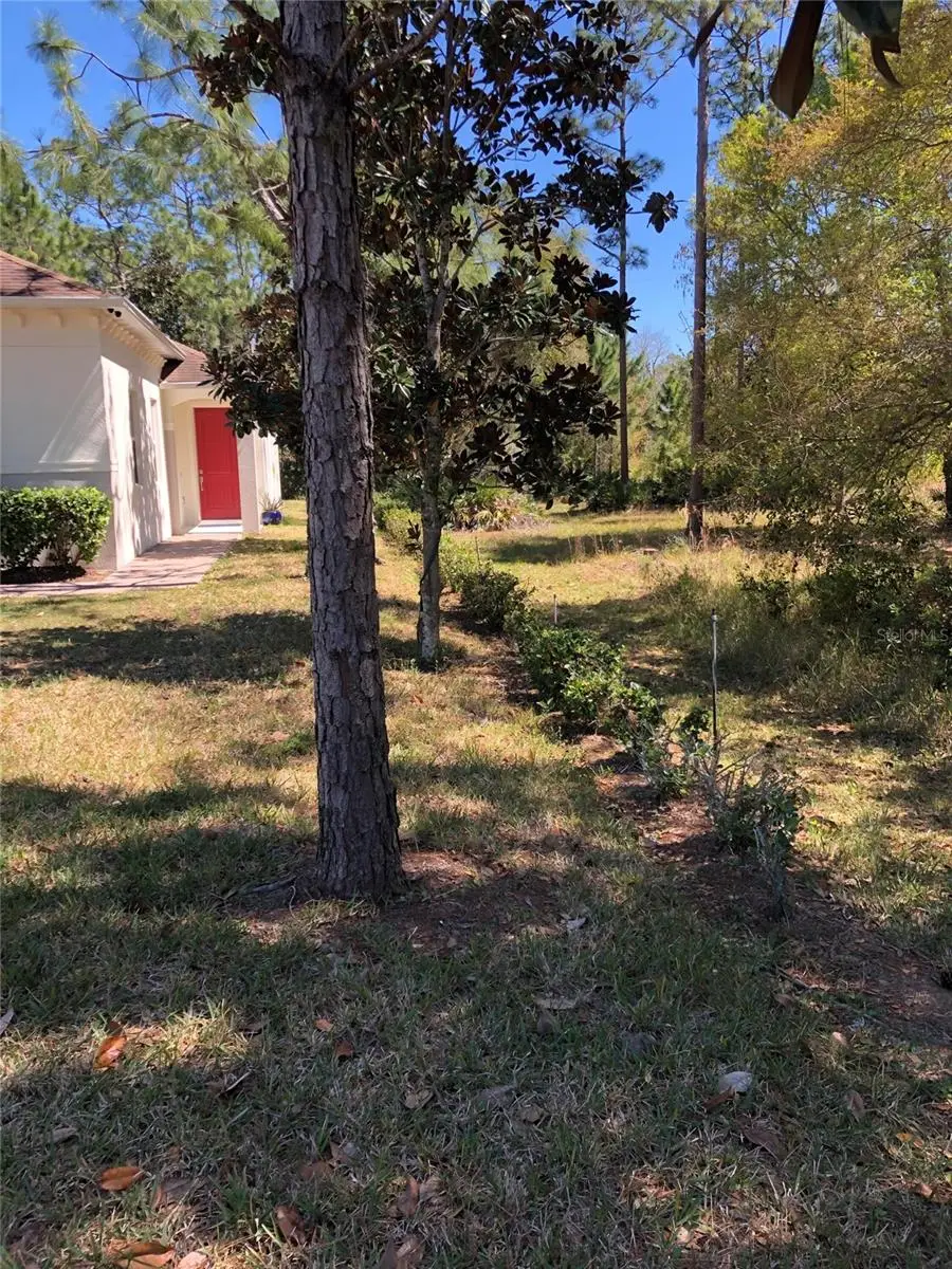 2301 Avellino Avenue, Saint Cloud, FL 34771 - #2