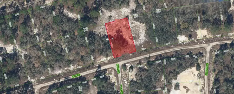 394 Crown Drive, Lake Placid, FL 33852 - Image #2