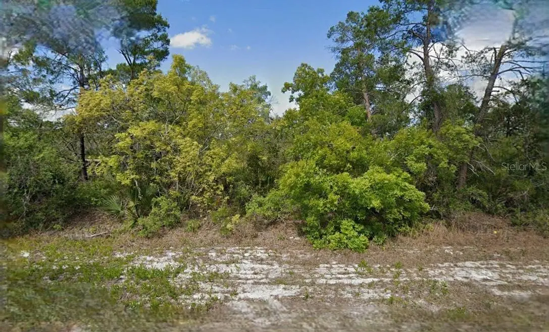 215 & 217 Treasurer Avenue Ne, Lake Placid, FL 33852 - Image #1