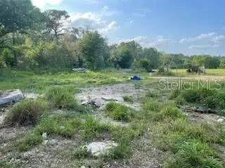 10725 Demille Road, Polk City, FL 33868 - Image #3