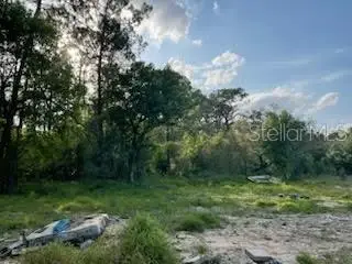 10725 Demille Road, Polk City, FL 33868 - Image #3