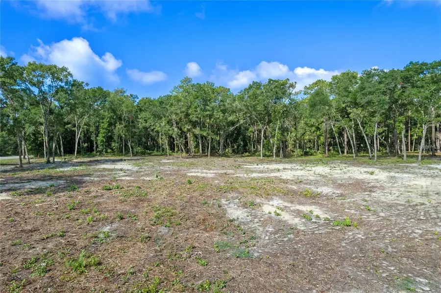29901 State Road 44, Eustis, FL 32736 - Image #2