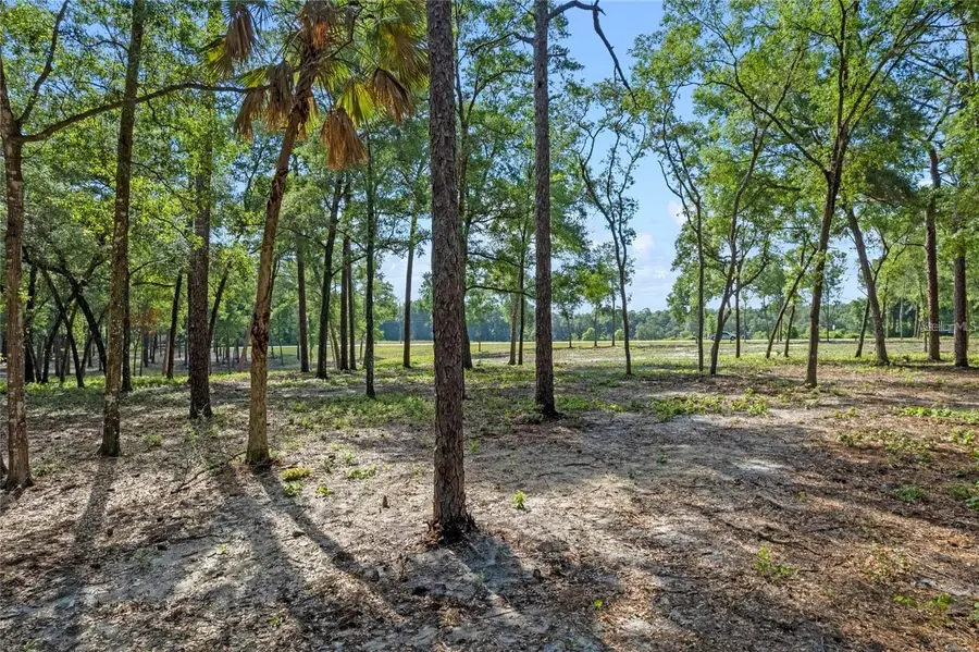 29901 State Road 44, Eustis, FL 32736 - Image #3