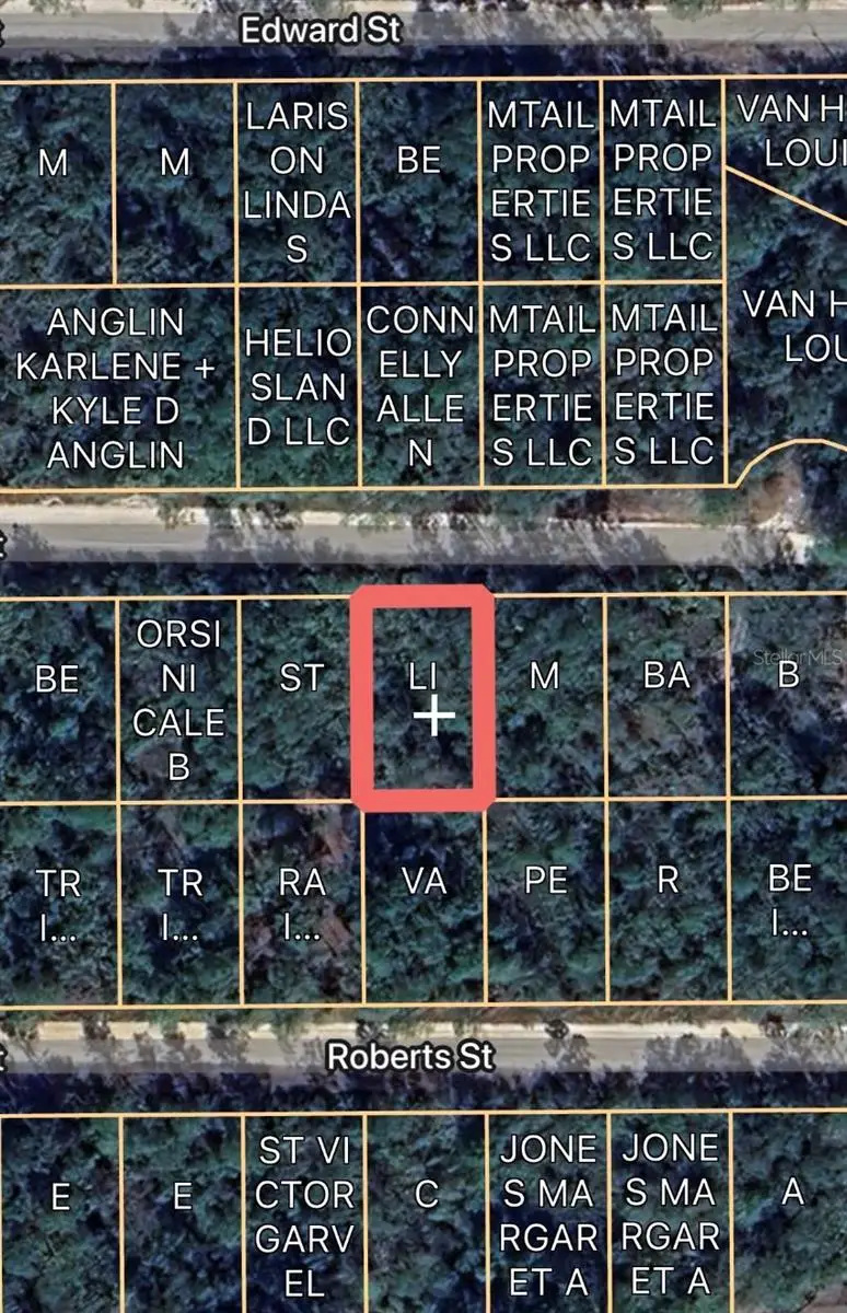 00 Basford St, Interlachen, FL 32148 - #1