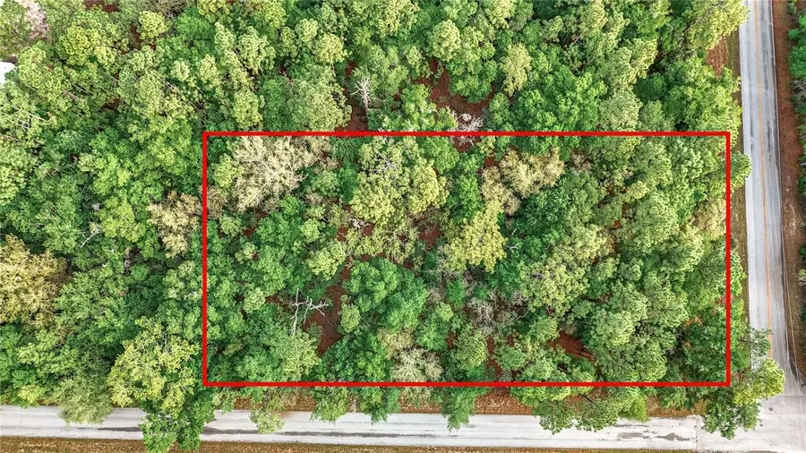 0 SW Breezy Point Drive, Dunnellon, FL 34431 - #2