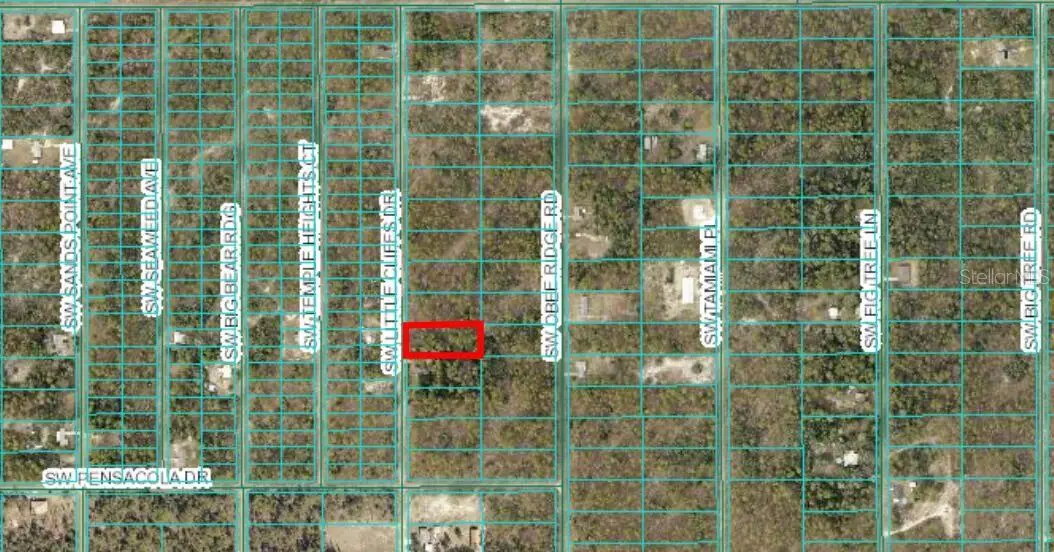 SW Little Cliffs Drive, Dunnellon, FL 34431 - #1