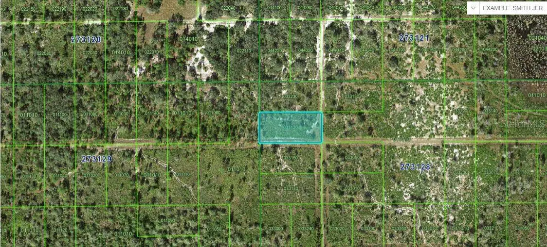 Rhoden Loop D, Frostproof, FL 33843 - #1