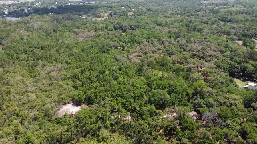 Bobcat Lane, Osteen, FL 32764 - Image #2