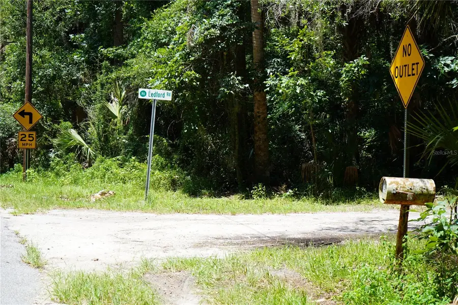 Bobcat Lane, Osteen, FL 32764 - Image #3