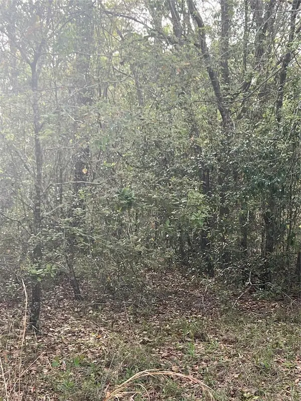 0000 NE 125th Street, BRONSON, FL 32621