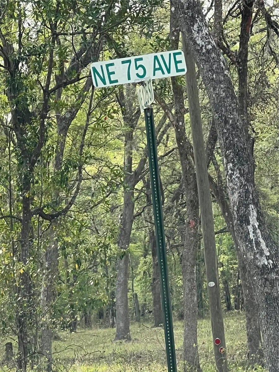 0000 NE 125th Street, Bronson, FL 32621 - Image #3